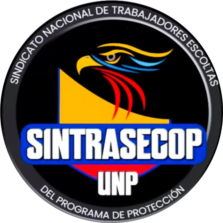 Información Decreto 234